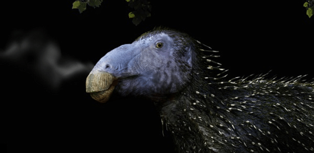 Dinossauro com espinhos ocos nunca antes vistos é descoberto na China