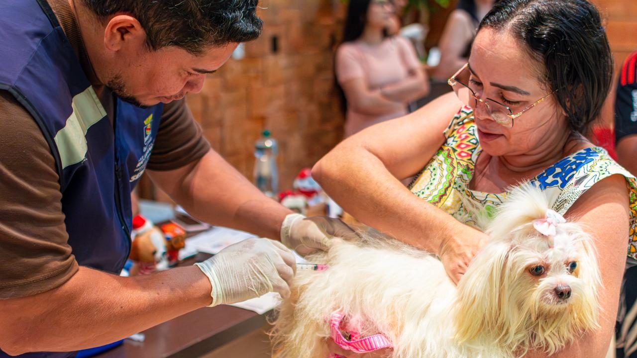 Prefeitura de Rio Branco celebra sucesso de ação com mais de 100 animais vacinados e 10 adoções no Via Verde Shopping